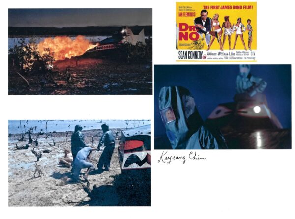 Keysang Chin - Dragon Tank Guard - "Dr. No"